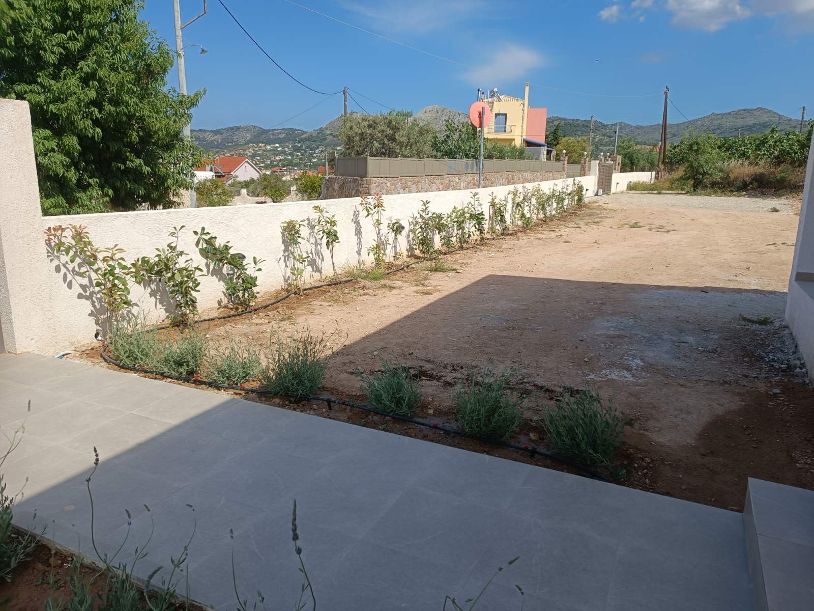 🌿 Building Our Green Summer Paradise in Aegina