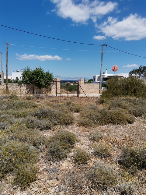 The Beginning of a Dream